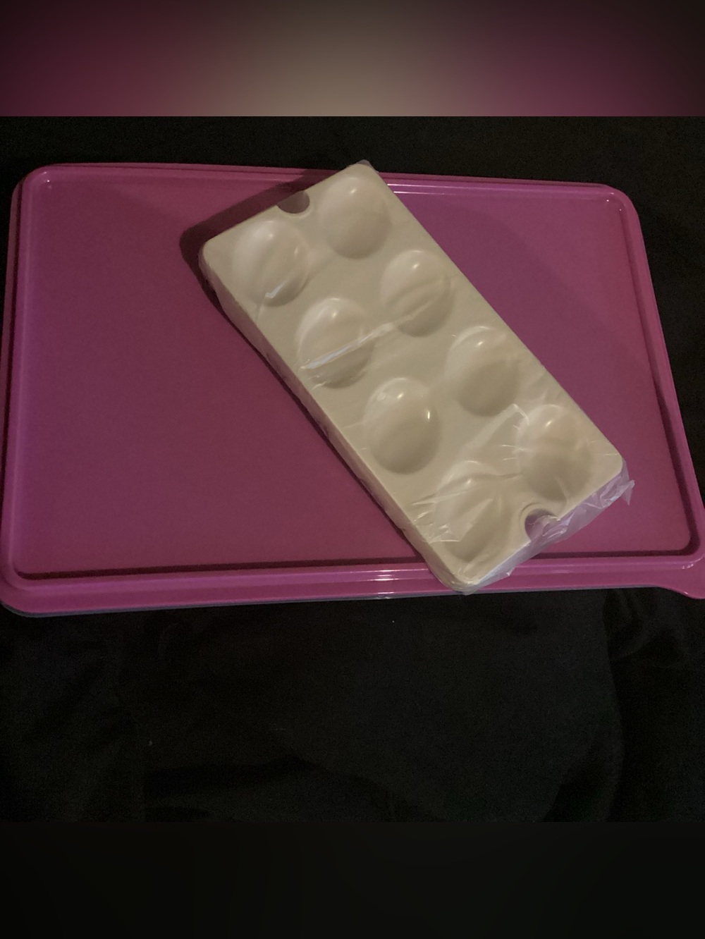 Tupperware Snack-Stor Large with Egg Inserts in Wild Mulberry